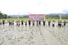 Tanam padi perdana serentak Desa Pakumbang, Sompak